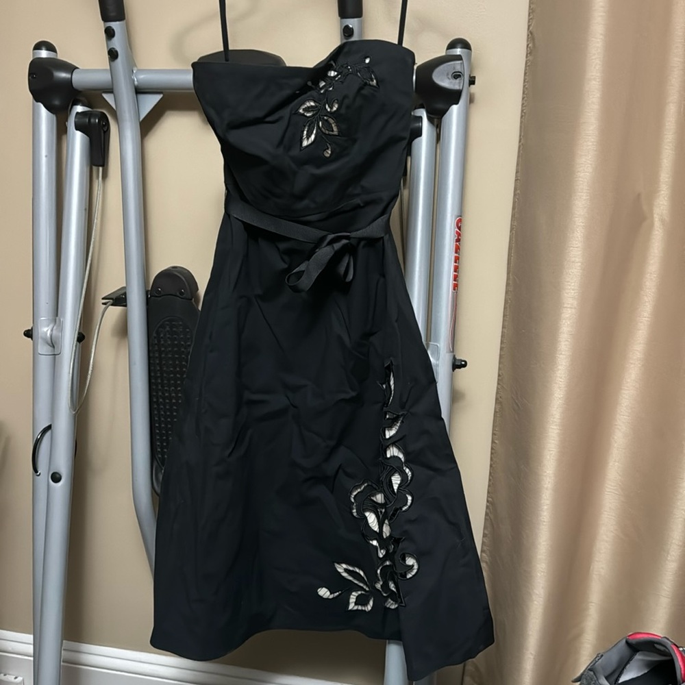 Express A line cotton dress size 2